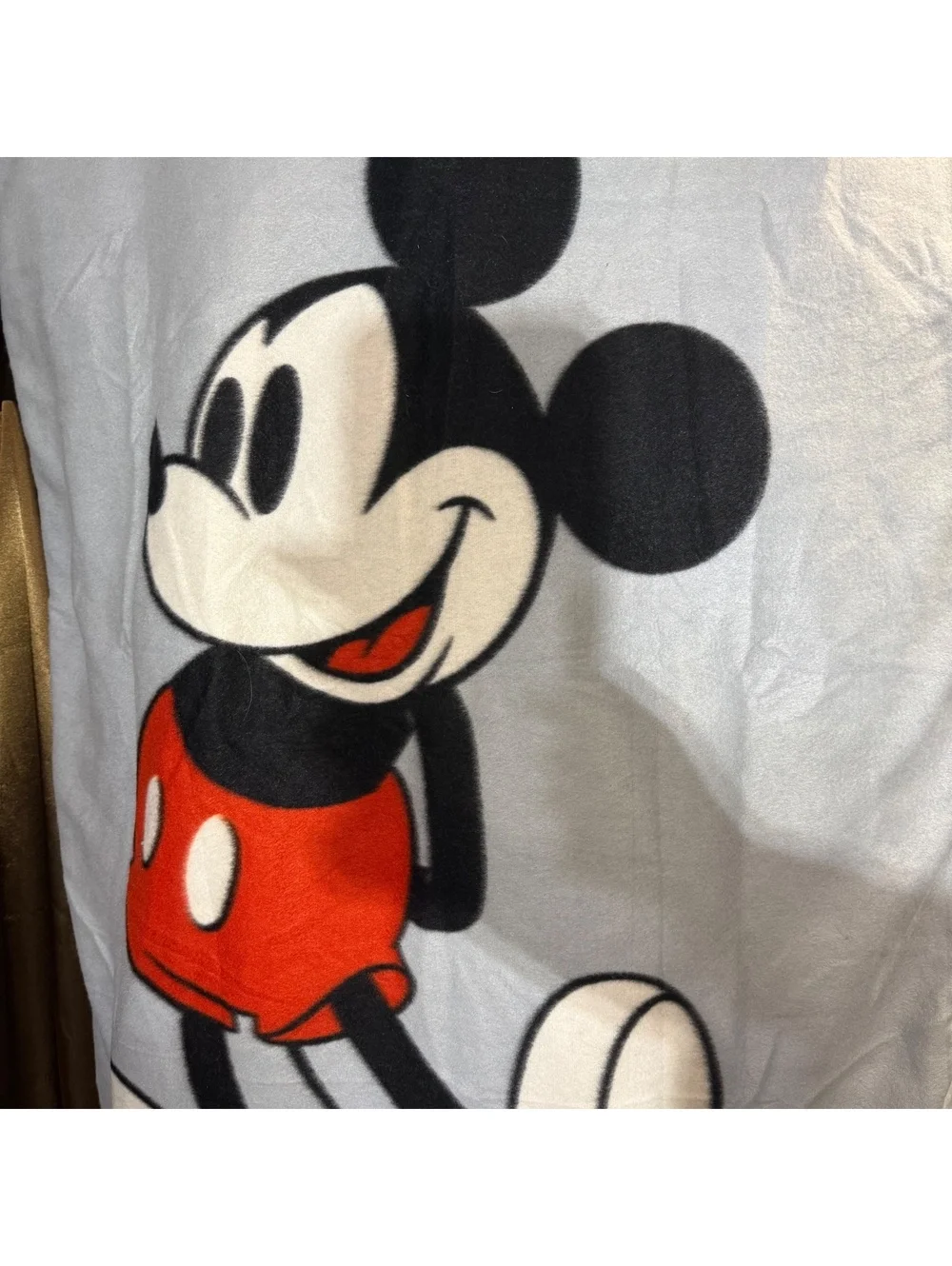 Disney Rewards Mickey Mouse Fold Up Picnic Blanket Bag Chase Visa Promo Cushion
